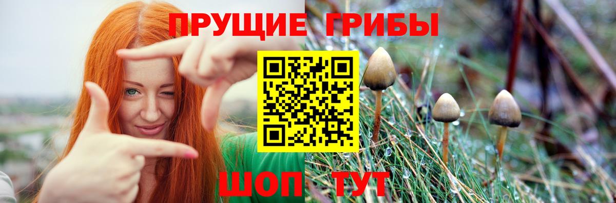 Донецк  Псилоцибиновые грибы MAGIC MUSHROOMS  Вход с VPN 